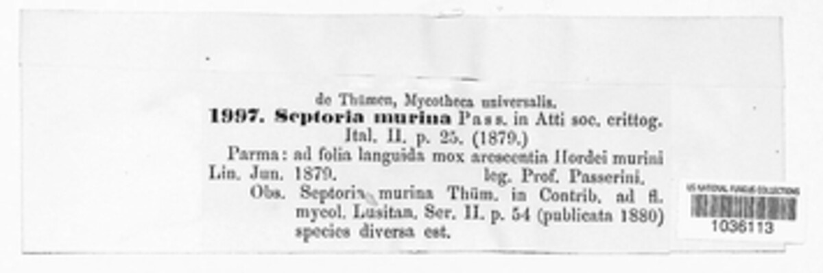 Septoria murina image